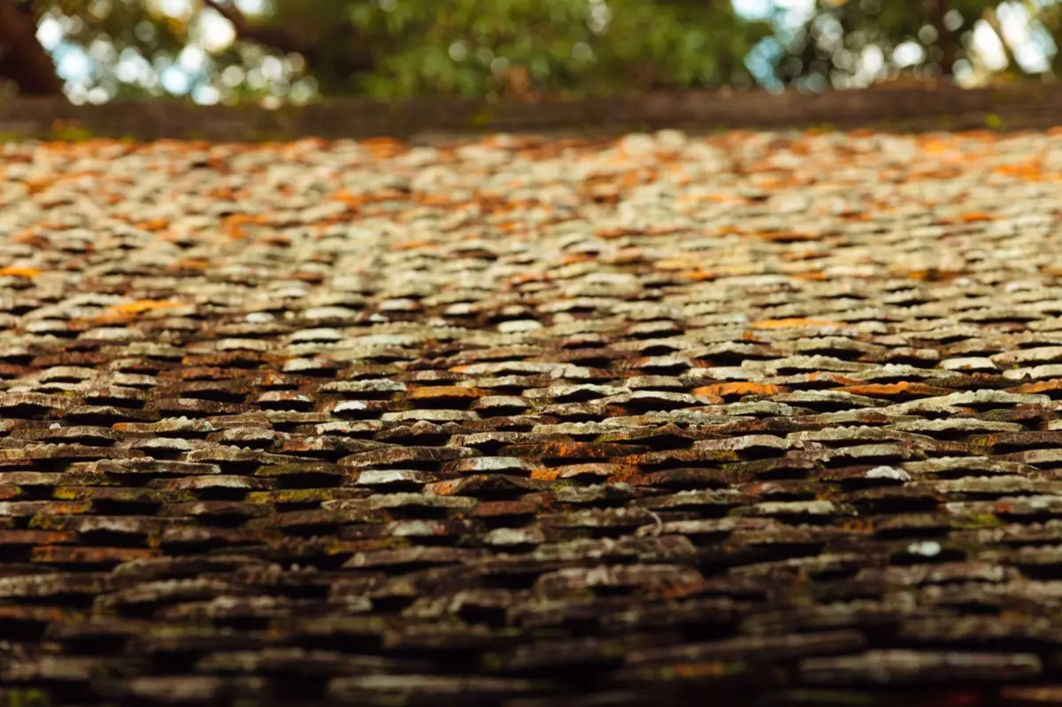 Aging shingle roof with moss growth and granule loss in Jonesboro, AR